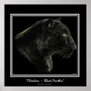 Search for black puma art Panther