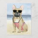 Search for beach dog postcards Pet