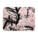 Search for edited magnets Pink
