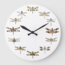 Search for dragonfly clocks Butterfly