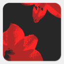 Search for amaryllis stickers Flower
