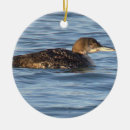 Search for loon christmas tree decorations Birds