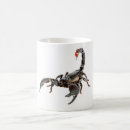 Search for scorpion mugs Animal