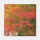 Search for fall foliage magnets Nature