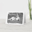 Search for australian birthday cards Kangaroo