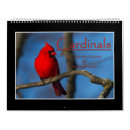 Search for cardinal calendars Birds