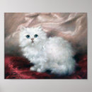 Search for kitten posters Pet