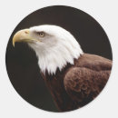 Search for american beauty stickers Photography