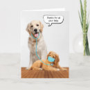 Search for golden retriever thank you cards Pet