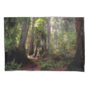 Search for california pillowcases National park