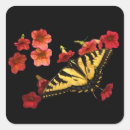 Search for swallowtail butterfly stickers Butterflies