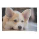 Search for corgi pillowcases Puppy