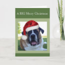 Search for dog breed christmas cards Santa