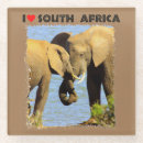Search for african safari coasters Wildlife