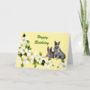Search for cattle dog birthday cards Animal