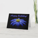 Search for happy daisy cards Blue