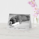 Search for get better soon cards Dog
