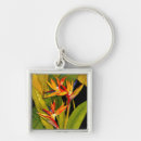 Search for bird key rings Bird of paradise