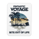 Search for voyager magnets Nasa