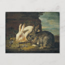Search for bunny painting postcards Vintage