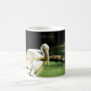 Search for natural history mugs Bird