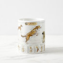 Search for animal skeletons mugs Dog