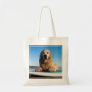 Search for lay bags Dog