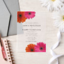 Search for pink gerbera invitations Gerber daisy