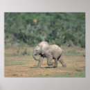 Search for behaviorism posters Animal behavior