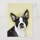 Search for attribution postcards Square