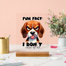Search for fact art Funny