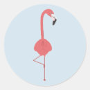 Search for vector illustration labels Bird