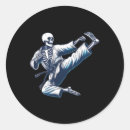 Search for karate fighter stickers Belt