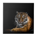 Search for wild tiles Jungle