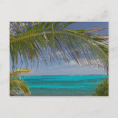 Search for abaco postcards Atlantic ocean
