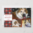 Search for three dogs cards Naughty or nice