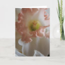 Search for daffodil cards White