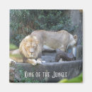 Search for lion king magnets Lions