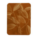 Search for botany magnets Botanical
