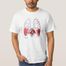 Search for sternum Anatomy