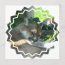 Search for cougar invitations Mountain lion