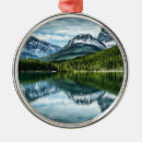 Search for canyon christmas tree decorations Nature