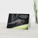 Search for transform cards Nature