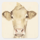 Search for barn animal stickers Cows