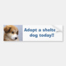 Search for adopt a dog bumper stickers Animal
