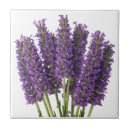 Search for lavender tiles Nature