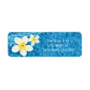 Search for plumeria return address labels Floral