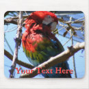 Search for macaws mousepads Parrot