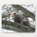 Search for postage stamps mousepads Animal