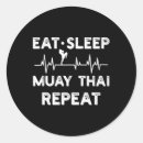 Search for thai boxing stickers Combat skill development